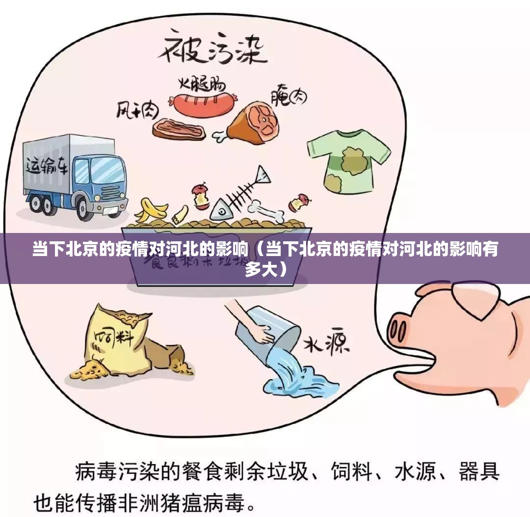 当下北京的疫情对河北的影响（当下北京的疫情对河北的影响有多大）