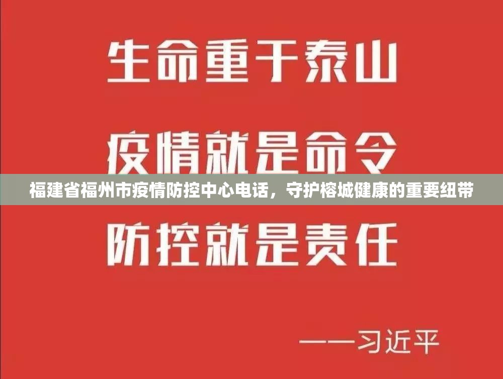 福建省福州市疫情防控中心电话，守护榕城健康的重要纽带
