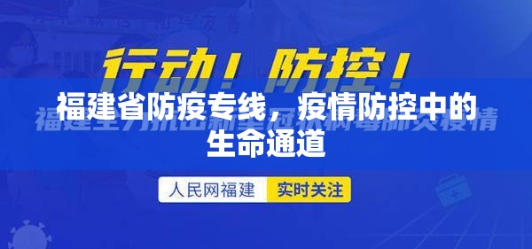 福建省防疫专线，疫情防控中的生命通道
