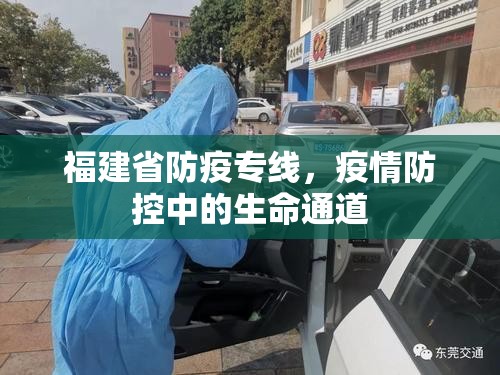 福建省防疫专线，疫情防控中的生命通道