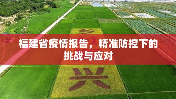 福建省疫情报告，精准防控下的挑战与应对