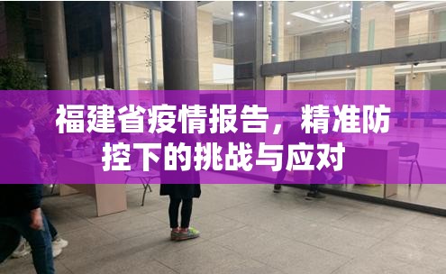 福建省疫情报告，精准防控下的挑战与应对