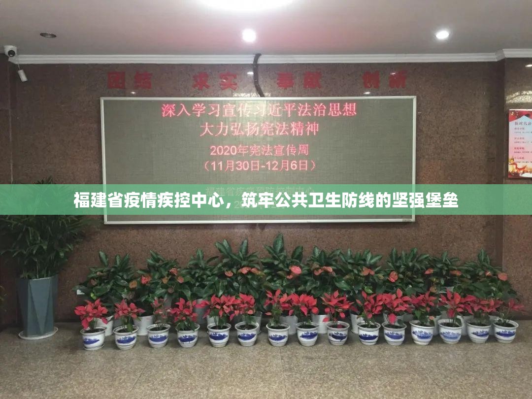福建省疫情疾控中心，筑牢公共卫生防线的坚强堡垒