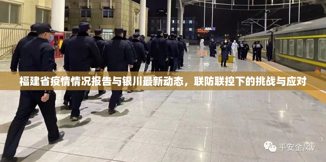 福建省疫情情况报告与银川最新动态，联防联控下的挑战与应对
