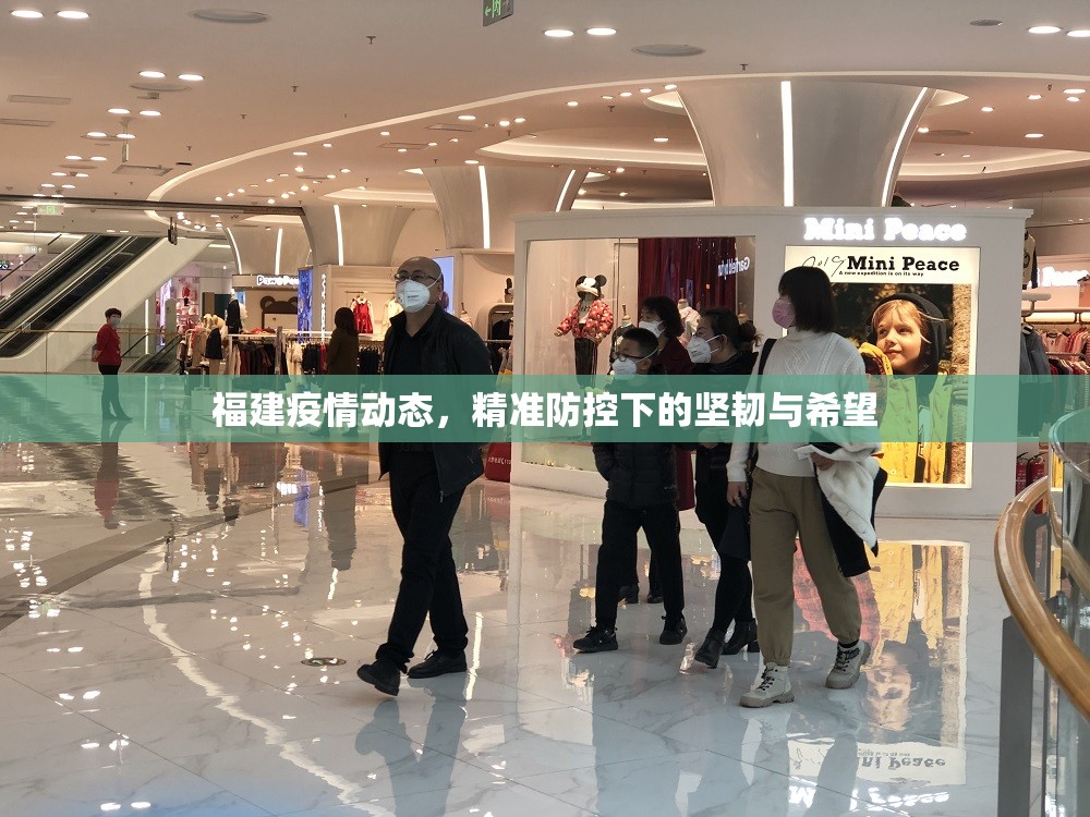 福建疫情动态，精准防控下的坚韧与希望