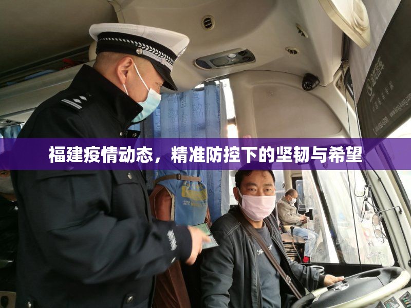 福建疫情动态，精准防控下的坚韧与希望
