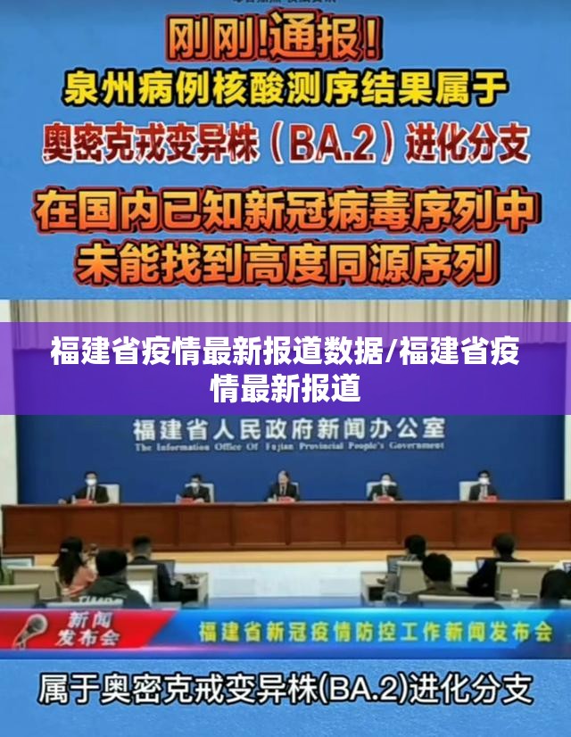 福建省疫情最新报道数据/福建省疫情最新报道