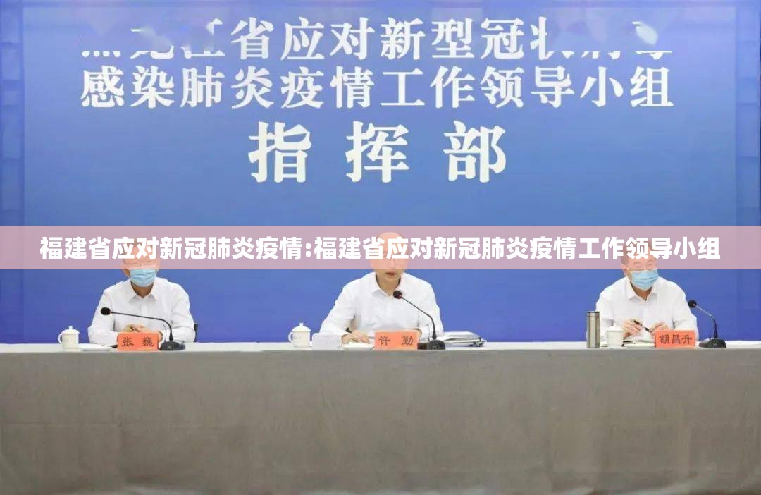 福建省应对新冠肺炎疫情:福建省应对新冠肺炎疫情工作领导小组