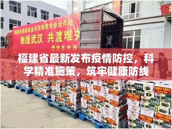 福建省最新发布疫情防控，科学精准施策，筑牢健康防线