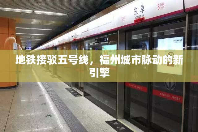 地铁接驳五号线，福州城市脉动的新引擎