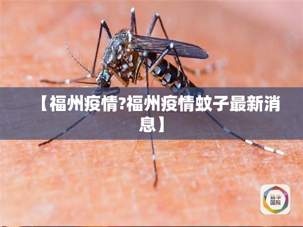 【福州疫情?福州疫情蚊子最新消息】