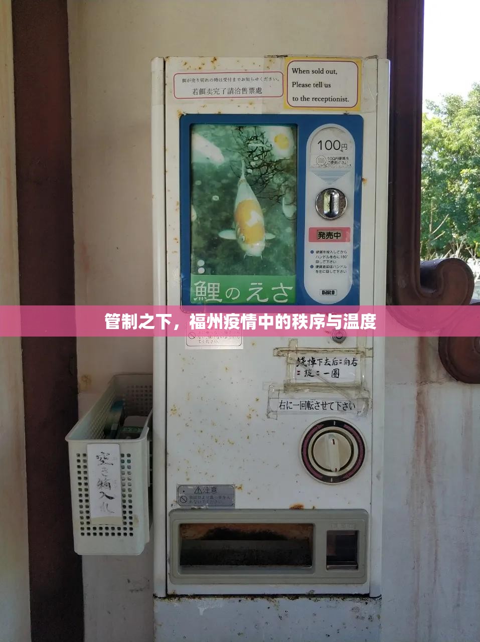 管制之下，福州疫情中的秩序与温度