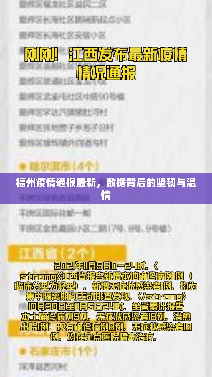 福州疫情通报最新，数据背后的坚韧与温情