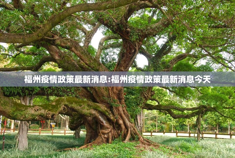 福州疫情政策最新消息:福州疫情政策最新消息今天