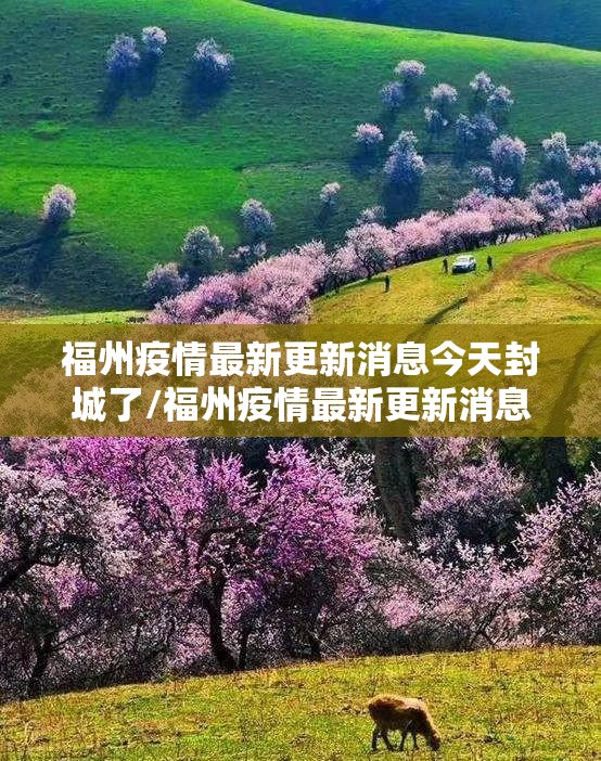 福州疫情最新更新消息今天封城了/福州疫情最新更新消息今天