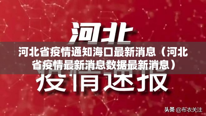 上海公布最新传染病 香港疫情/上海公布最新传染病 香港疫情情况