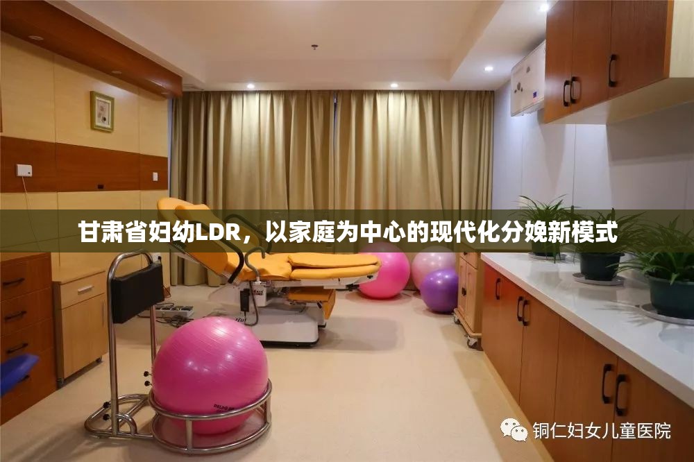 甘肃省妇幼LDR，以家庭为中心的现代化分娩新模式