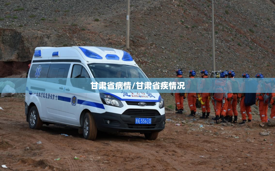 甘肃省病情/甘肃省疾情况