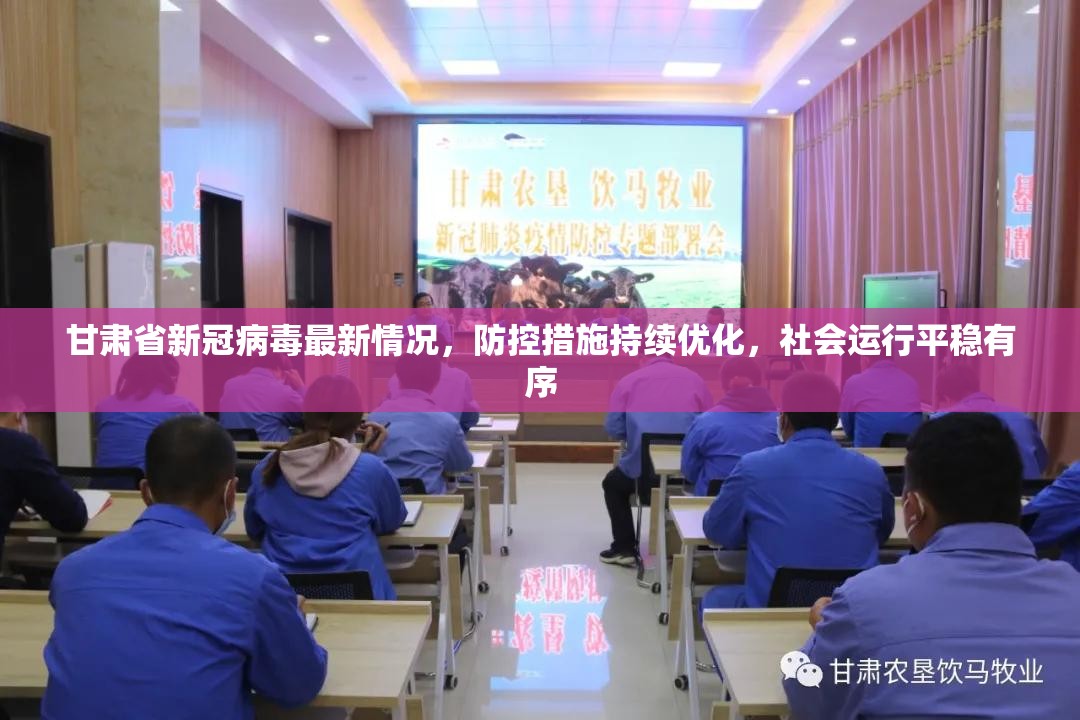 甘肃省新冠病毒最新情况，防控措施持续优化，社会运行平稳有序
