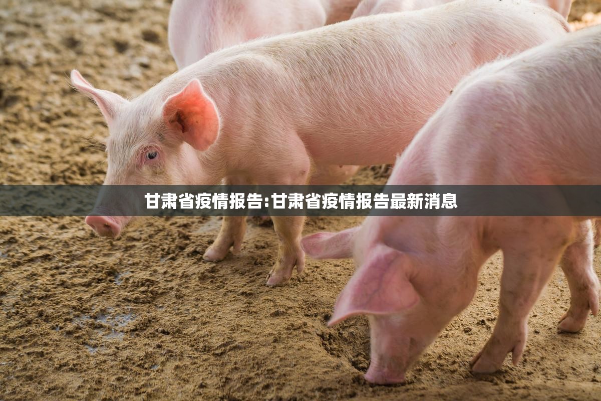 甘肃省疫情报告:甘肃省疫情报告最新消息