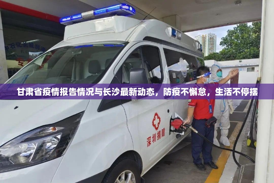 甘肃省疫情报告情况与长沙最新动态，防疫不懈怠，生活不停摆