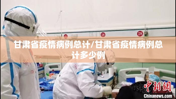 甘肃省疫情病例总计/甘肃省疫情病例总计多少例