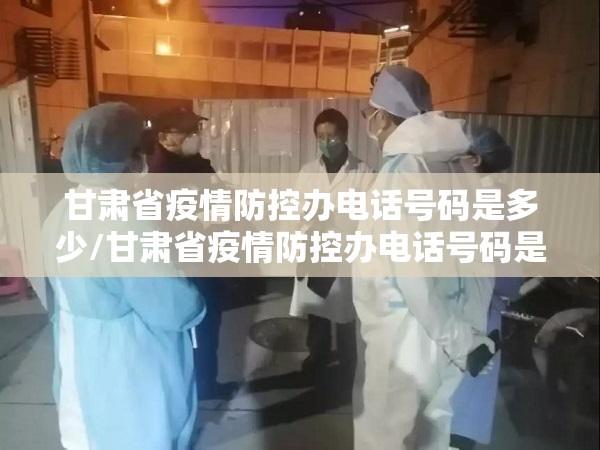 甘肃省疫情防控办电话号码是多少/甘肃省疫情防控办电话号码是多少号
