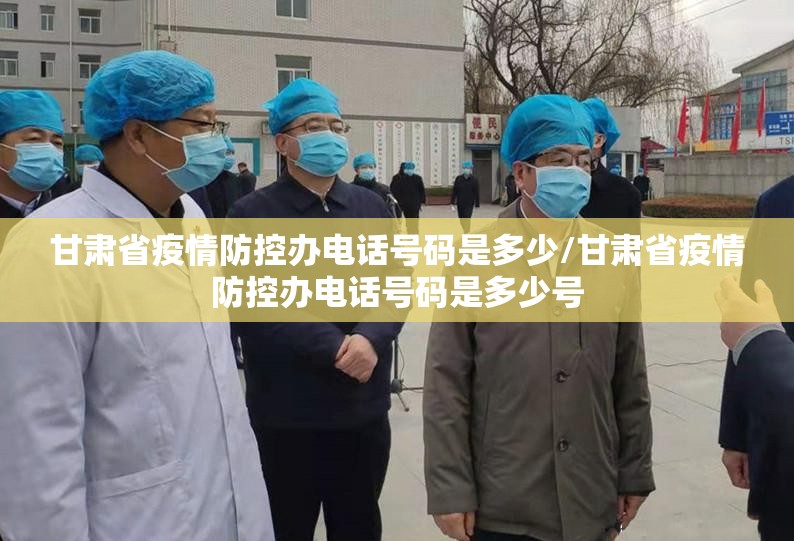 甘肃省疫情防控办电话号码是多少/甘肃省疫情防控办电话号码是多少号