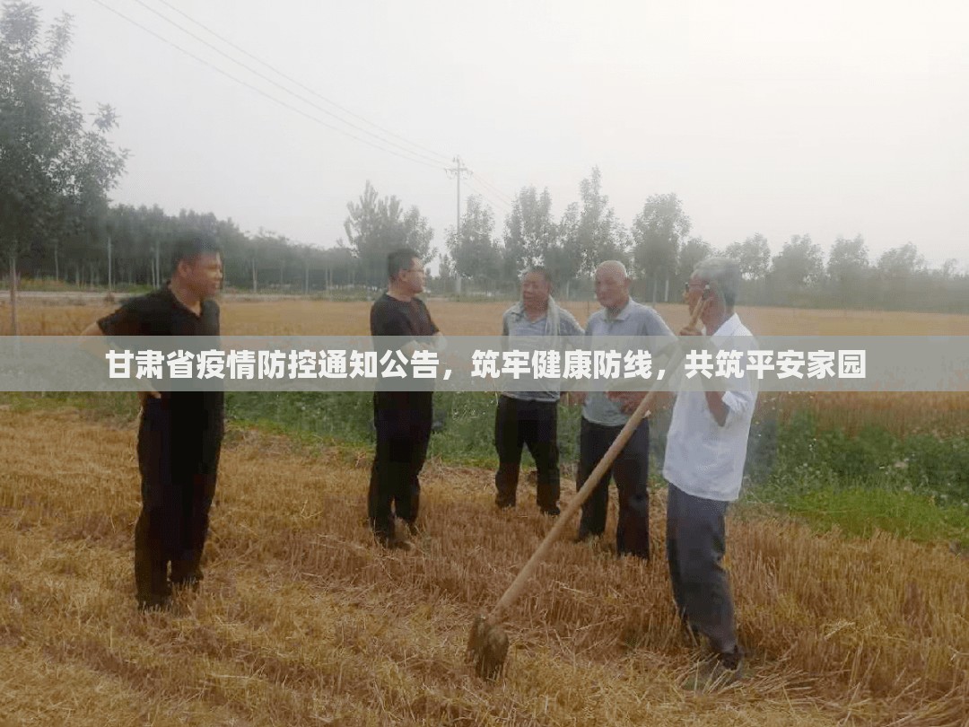 甘肃省疫情防控通知公告，筑牢健康防线，共筑平安家园