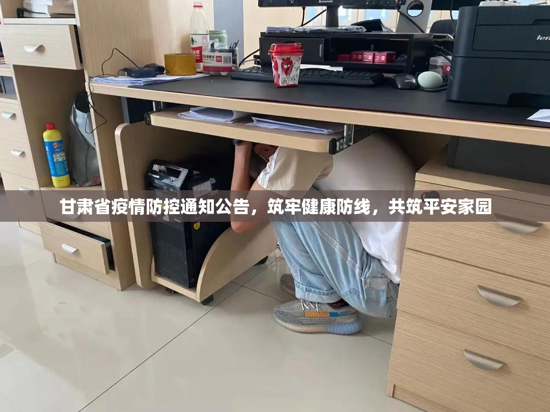 甘肃省疫情防控通知公告，筑牢健康防线，共筑平安家园
