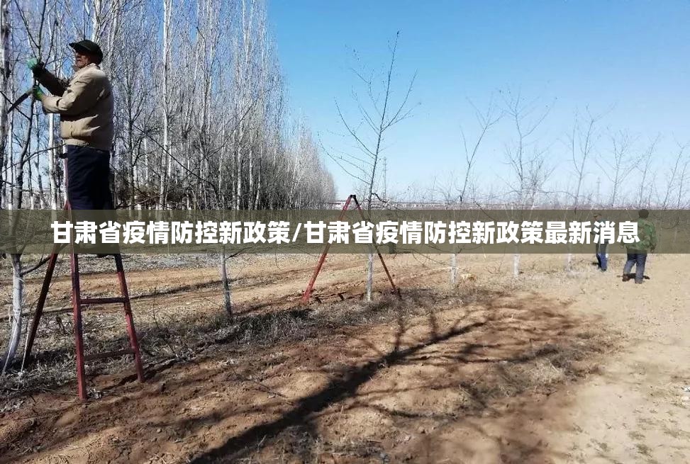 甘肃省疫情防控新政策/甘肃省疫情防控新政策最新消息