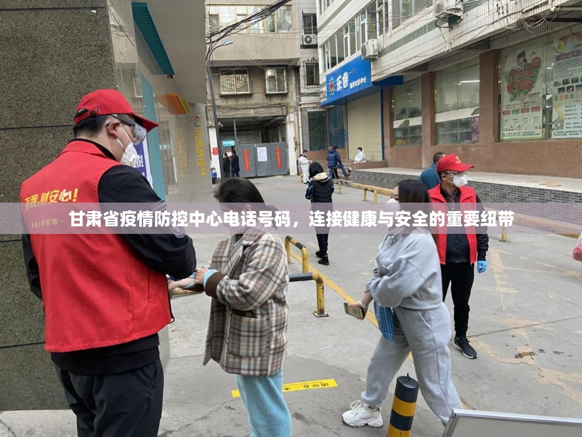 甘肃省疫情防控中心电话号码，连接健康与安全的重要纽带