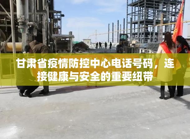 甘肃省疫情防控中心电话号码，连接健康与安全的重要纽带