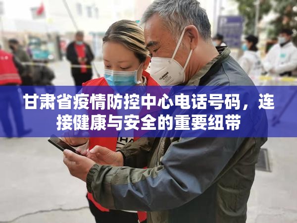 甘肃省疫情防控中心电话号码，连接健康与安全的重要纽带
