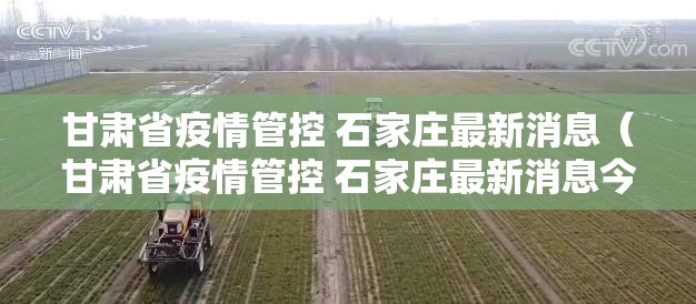 甘肃省疫情管控 石家庄最新消息（甘肃省疫情管控 石家庄最新消息今天）
