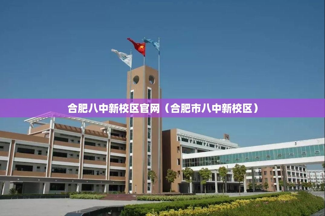 上海近十四天疫情，坚韧前行中的希望之光