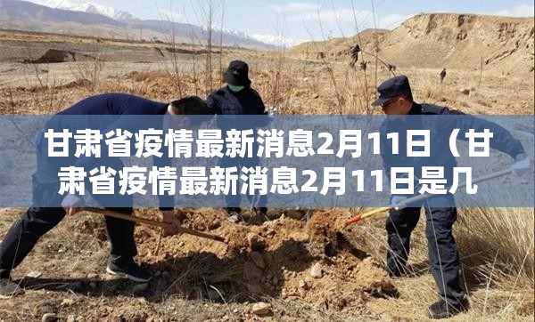 甘肃省疫情最新消息2月11日（甘肃省疫情最新消息2月11日是几号）