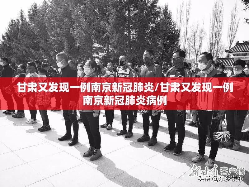 甘肃又发现一例南京新冠肺炎/甘肃又发现一例南京新冠肺炎病例