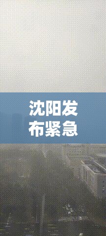 沈阳发布紧急通知，城市应急管理再升级，市民生活如何应对？