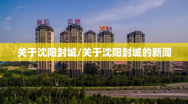 关于沈阳封城/关于沈阳封城的新闻