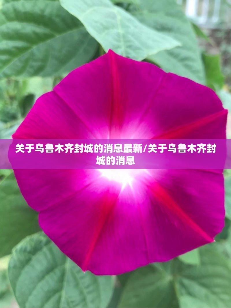 关于乌鲁木齐封城的消息最新/关于乌鲁木齐封城的消息