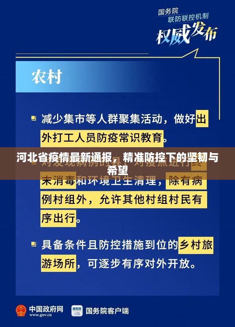 河北省疫情最新通报，精准防控下的坚韧与希望