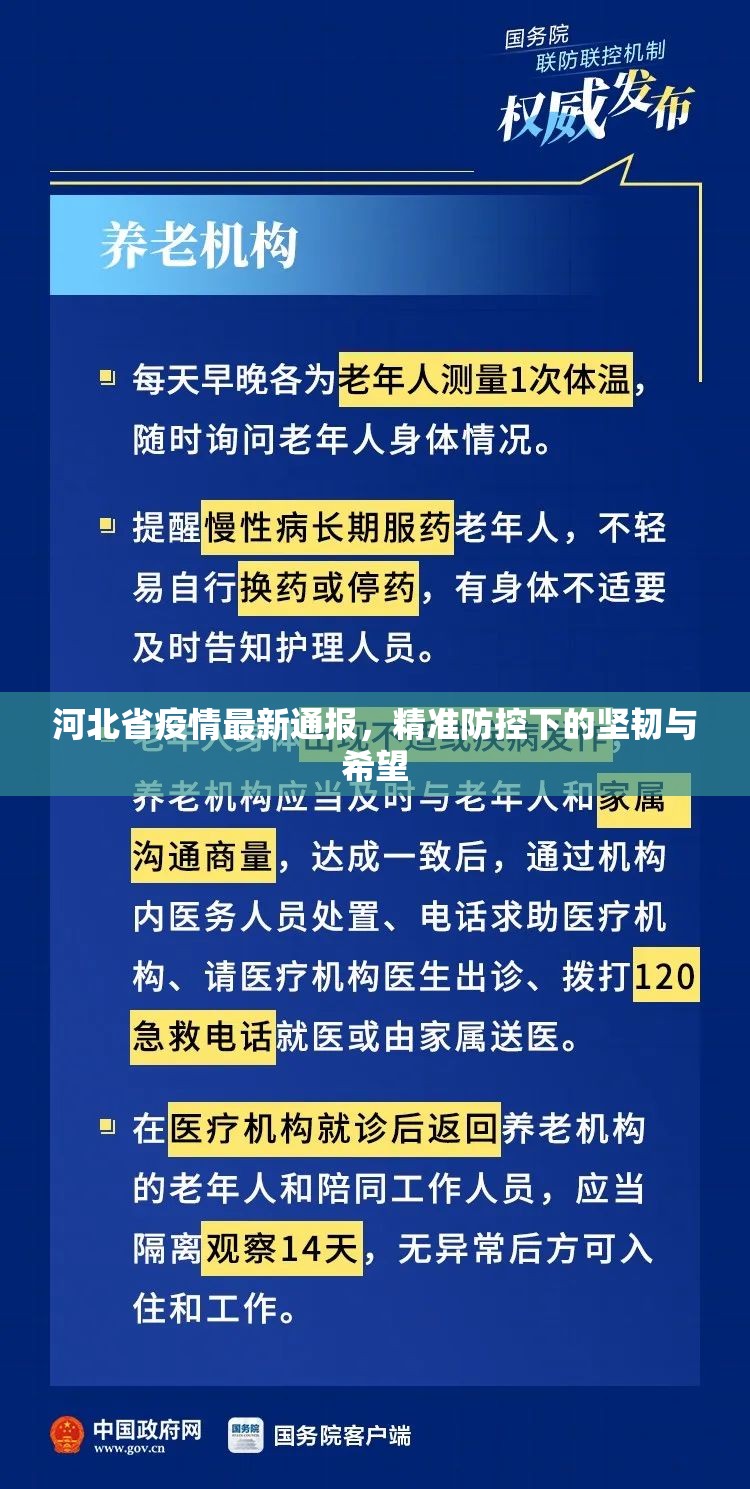 河北省疫情最新通报，精准防控下的坚韧与希望