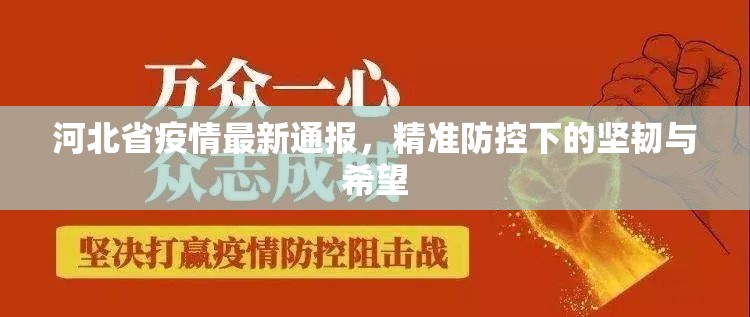 河北省疫情最新通报，精准防控下的坚韧与希望