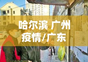 哈尔滨 广州 疫情/广东 哈尔滨疫情