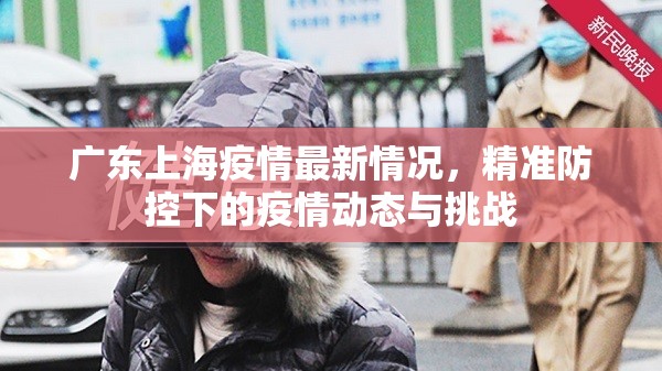 广东上海疫情最新情况，精准防控下的疫情动态与挑战