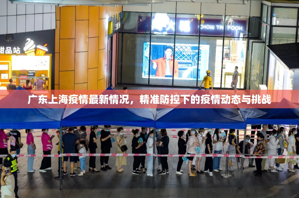 广东上海疫情最新情况，精准防控下的疫情动态与挑战