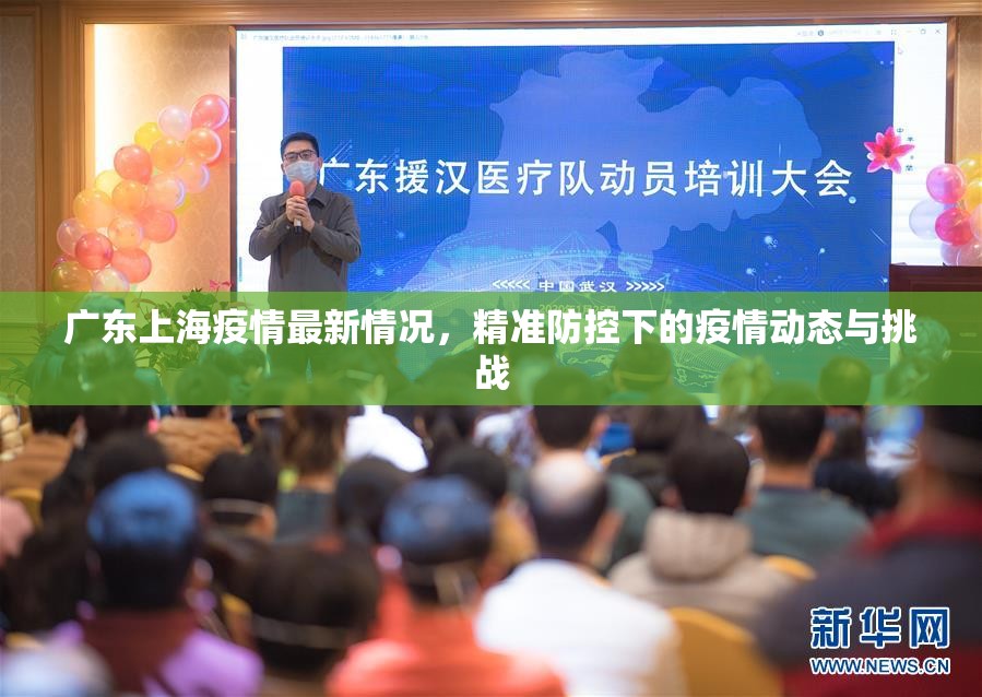 广东上海疫情最新情况，精准防控下的疫情动态与挑战