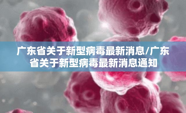广东省关于新型病毒最新消息/广东省关于新型病毒最新消息通知