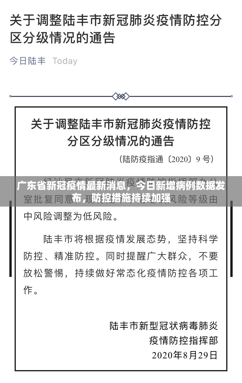 广东省新冠疫情最新消息，今日新增病例数据发布，防控措施持续加强